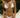 Bikini Bikini Basic Lis Branco - Graviolla